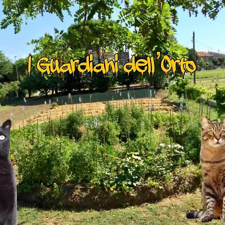 I Guardiani Dell'orto ベッド・アンド・ブレックファスト
